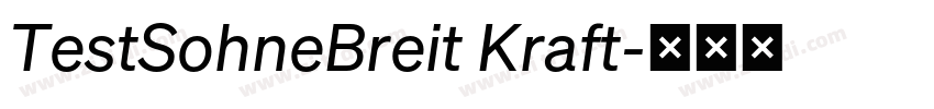 TestSohneBreit Kraft字体转换